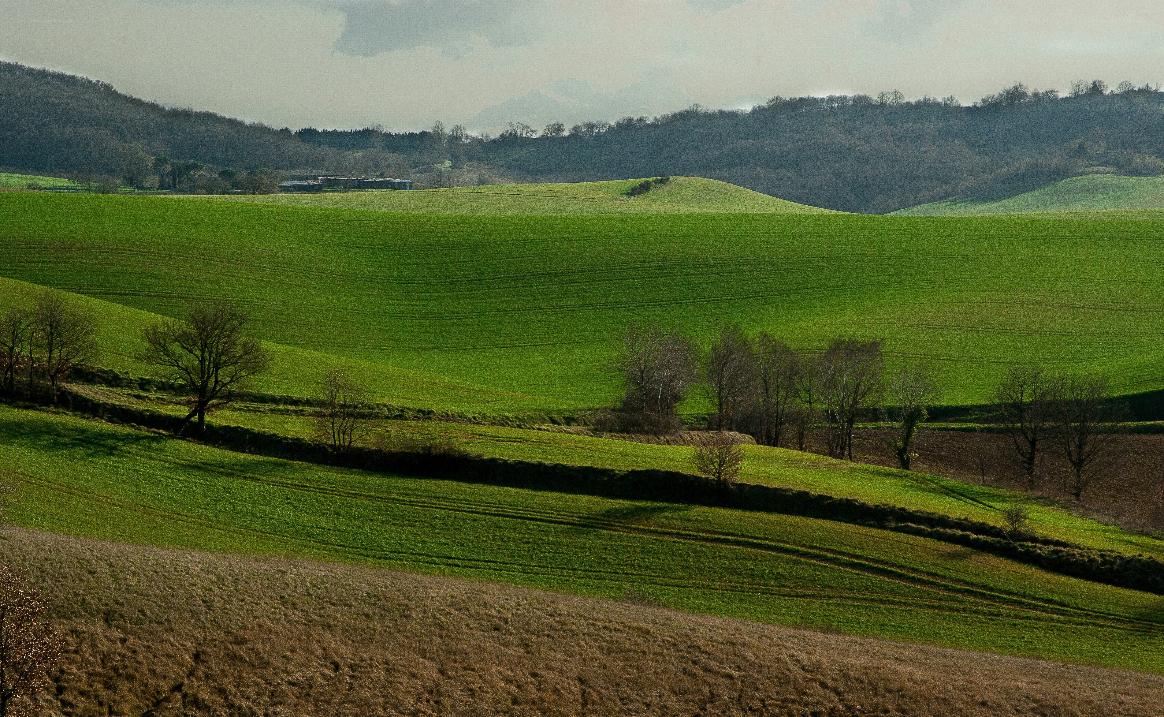 Rolling green hills landscape