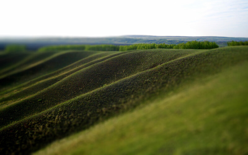 Rolling green hills landscape