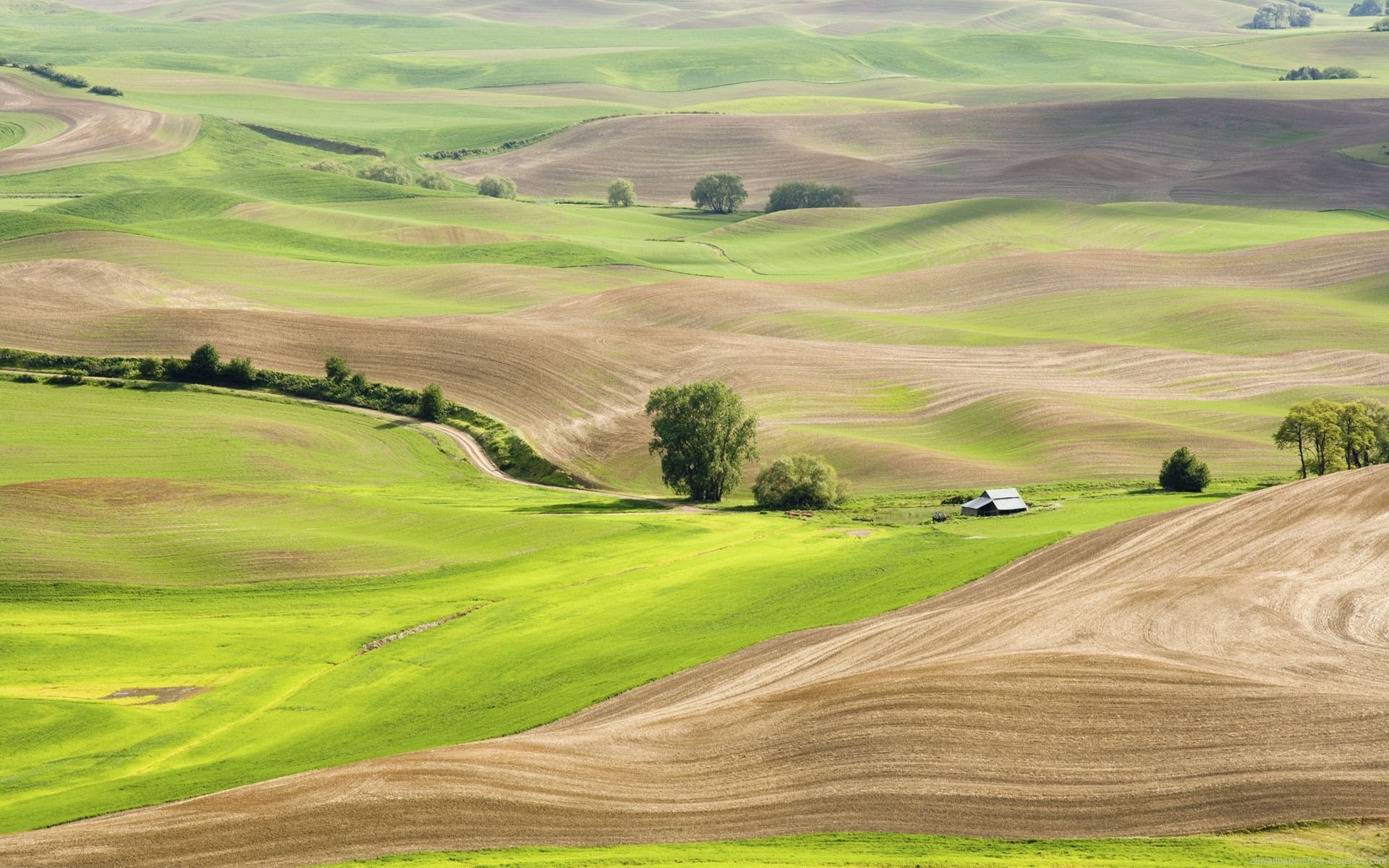 Rolling green hills landscape
