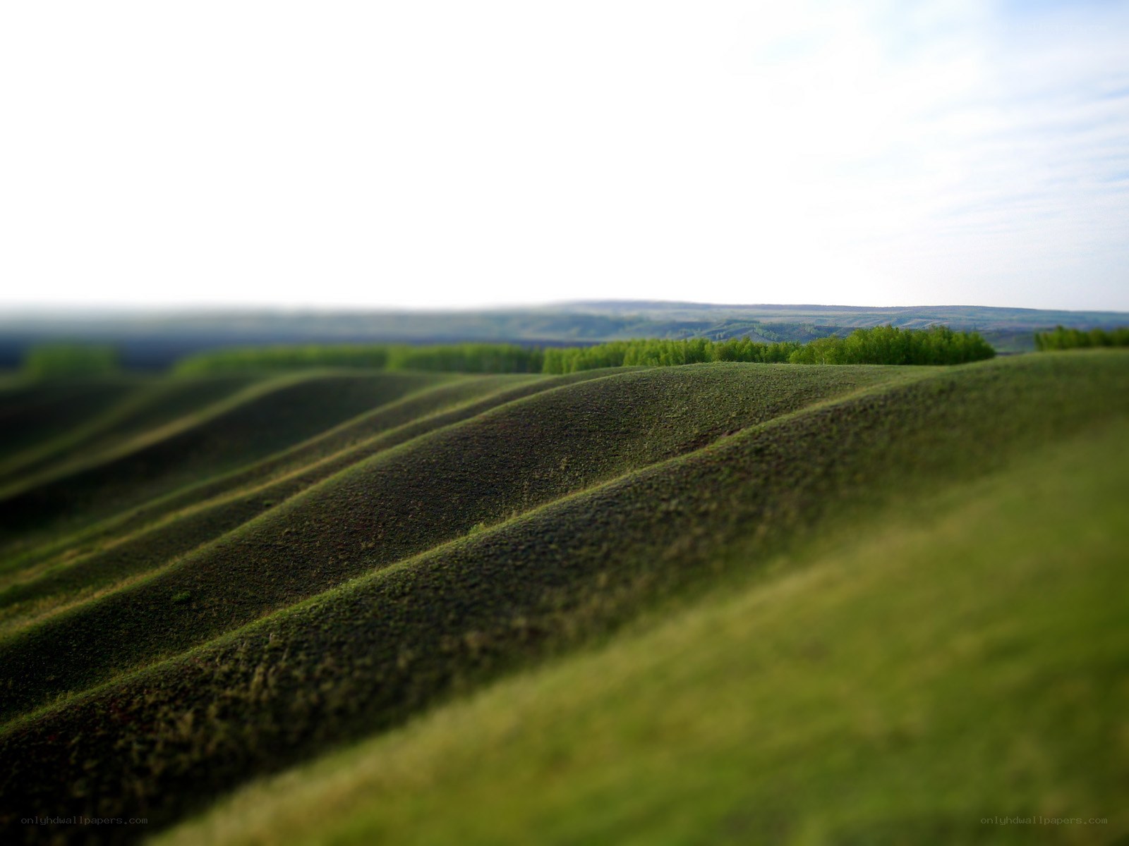Rolling green hills landscape