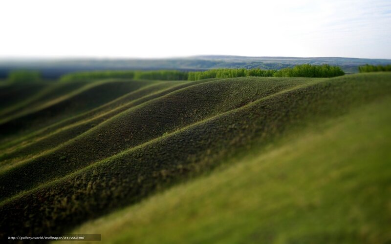 Rolling green hills landscape