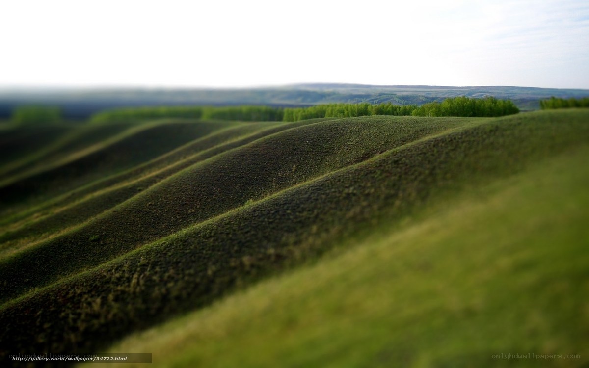 Rolling green hills landscape