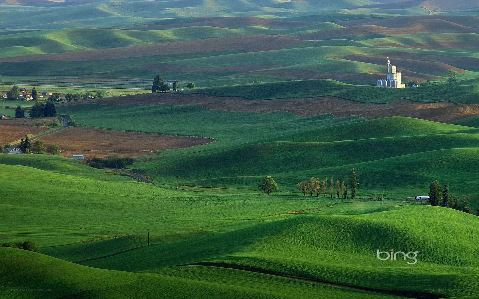 Rolling green hills landscape