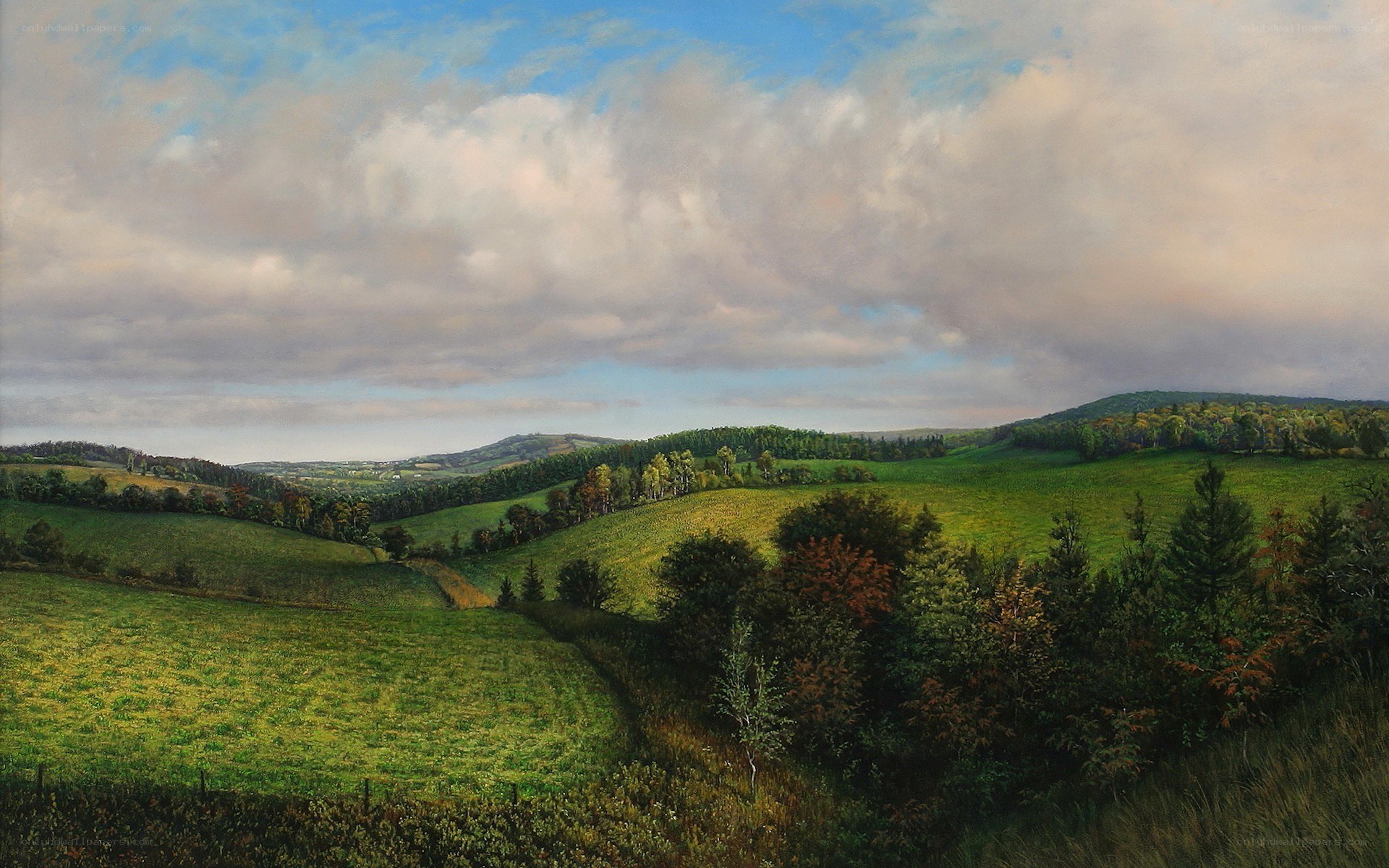 Rolling Green Hills Landscape