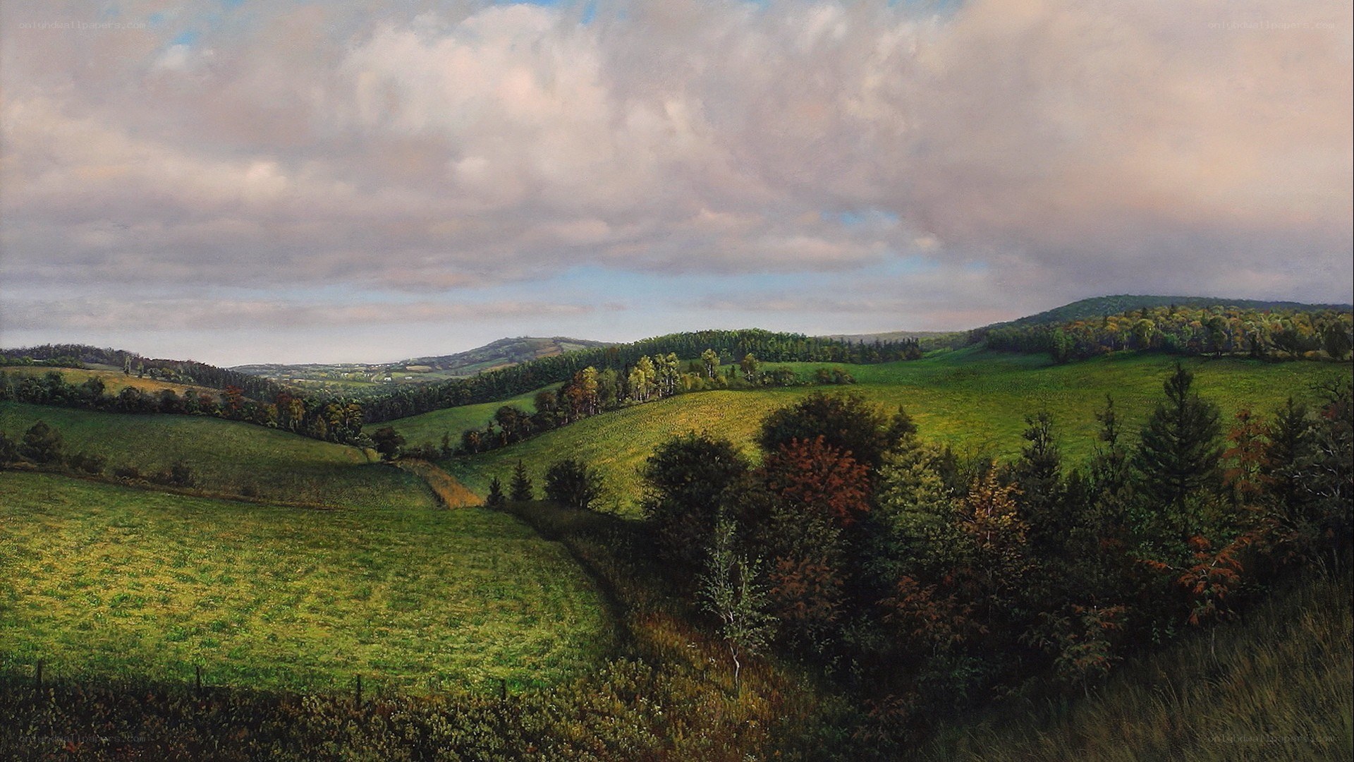 Rolling green hills landscape