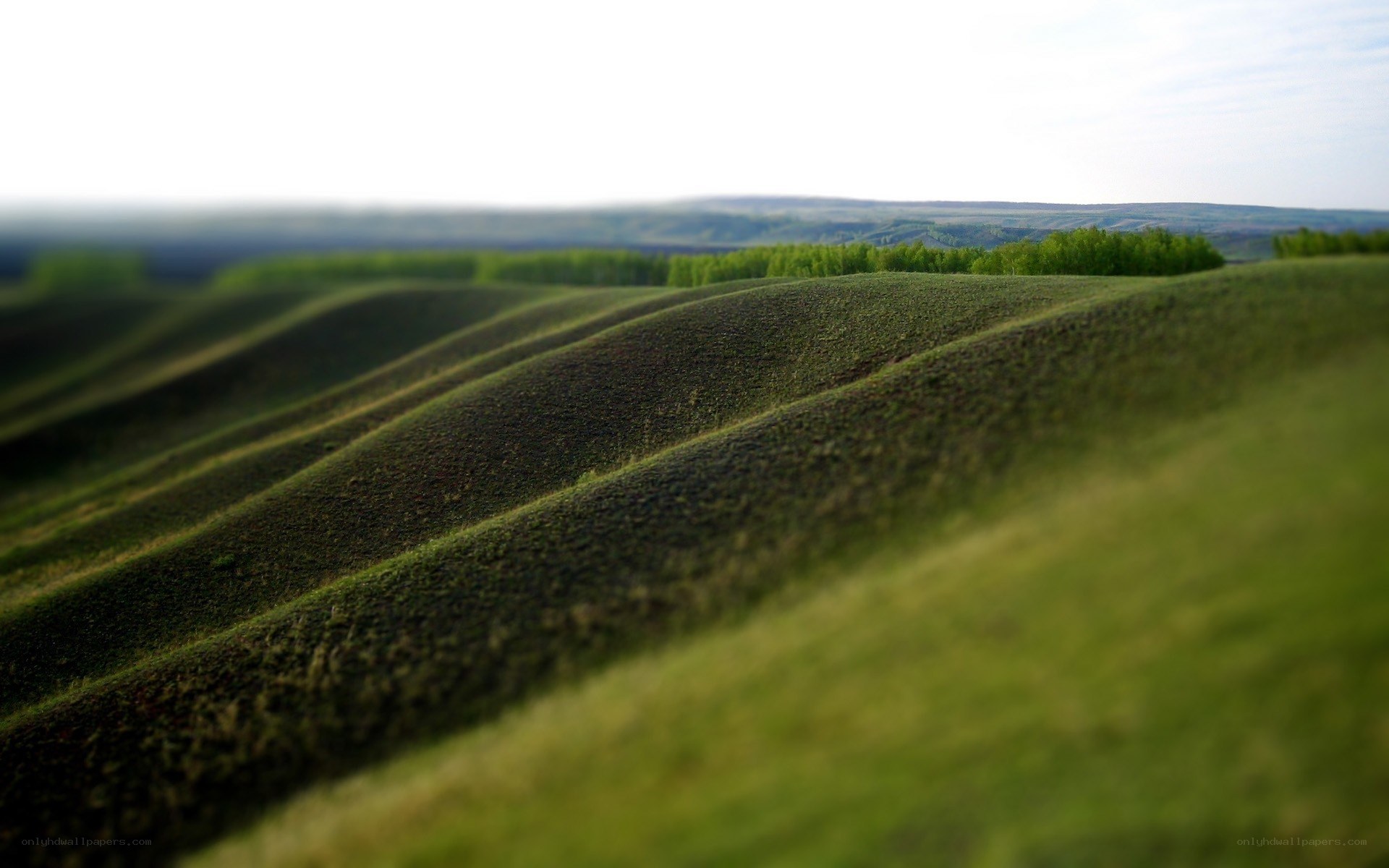 Rolling green hills landscape