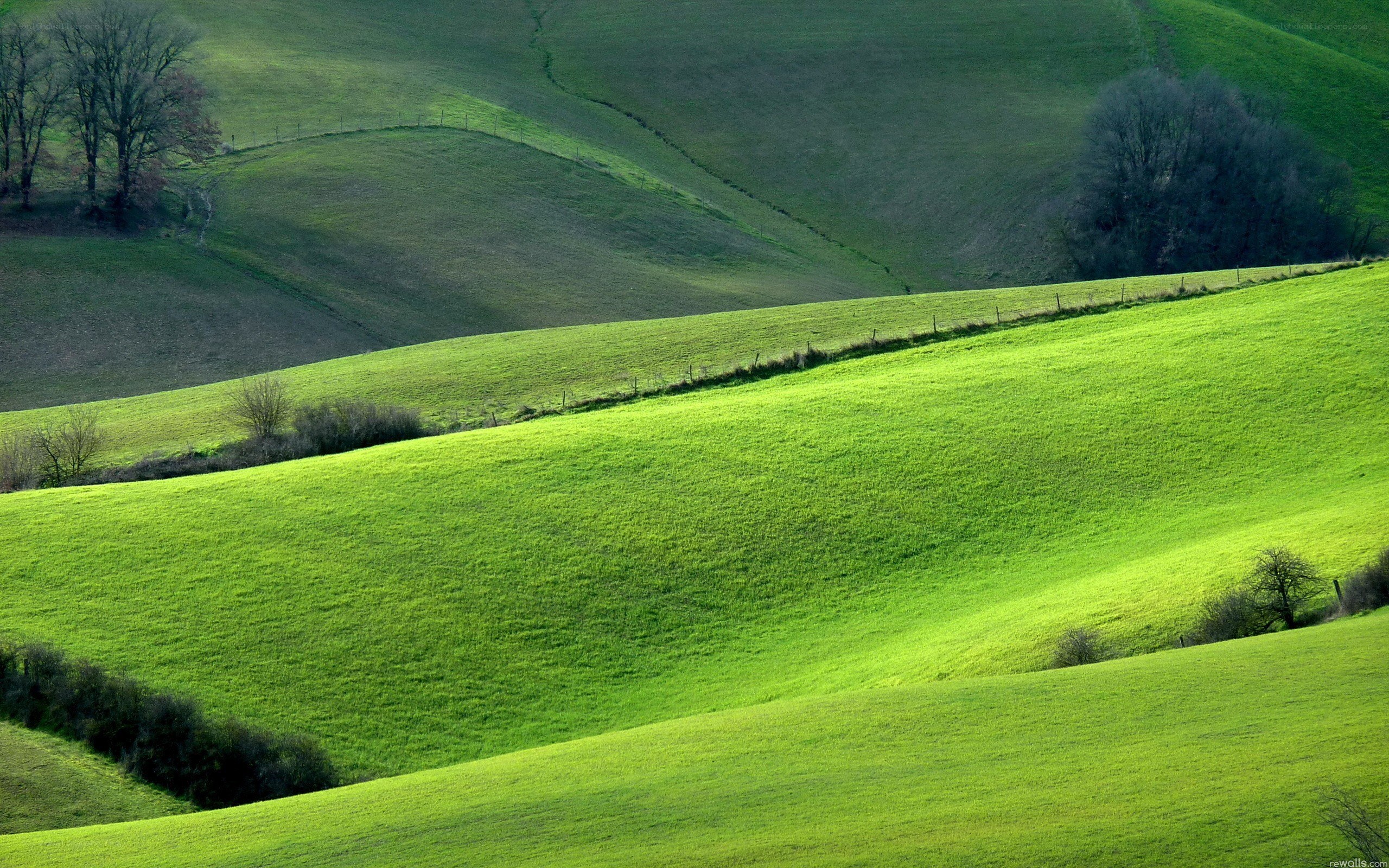 Rolling green hills landscape