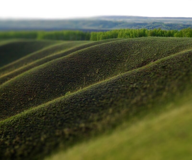 Rolling green hills landscape