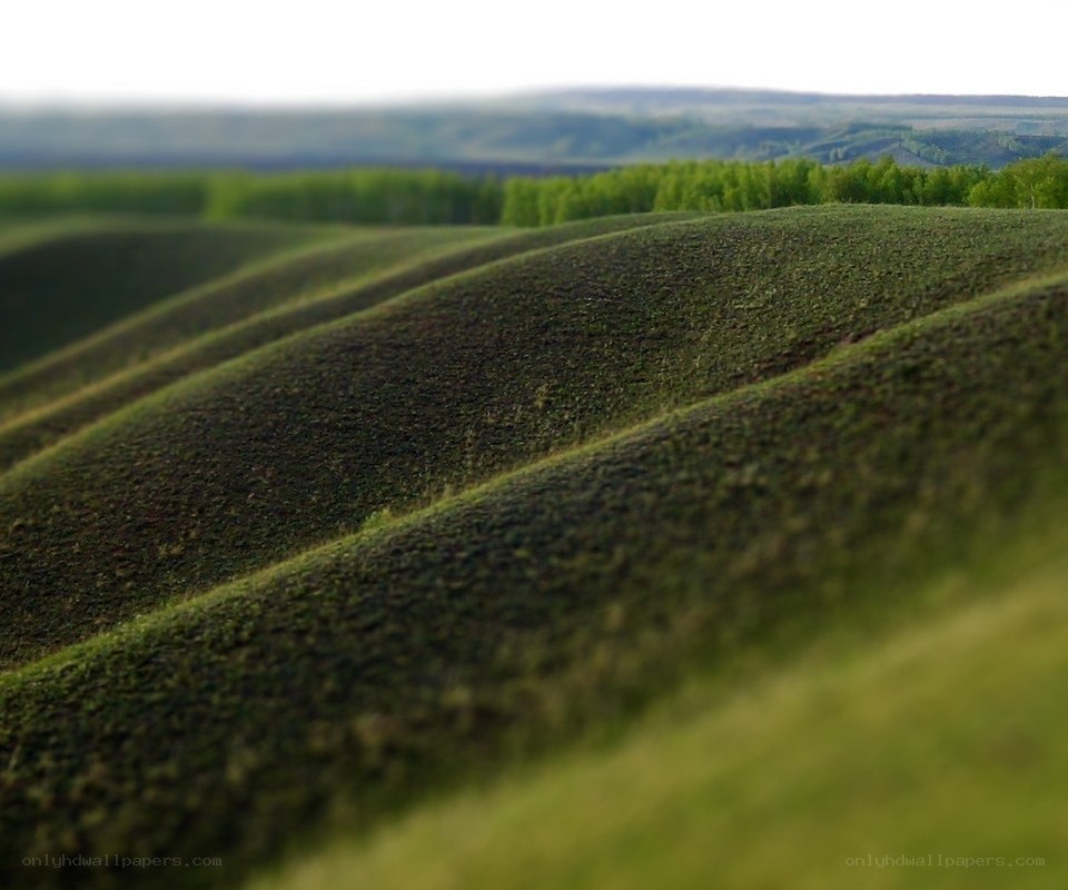 Rolling green hills landscape