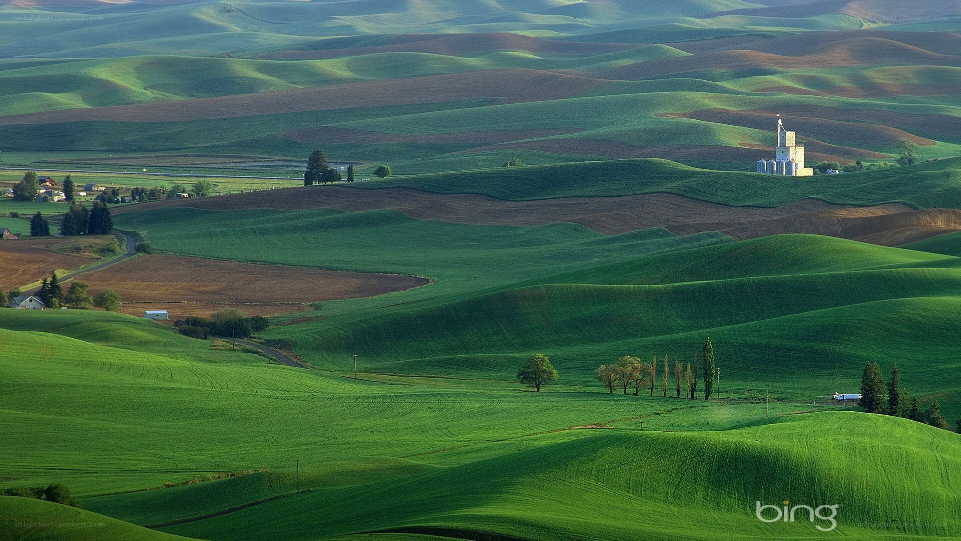 Rolling green hills landscape