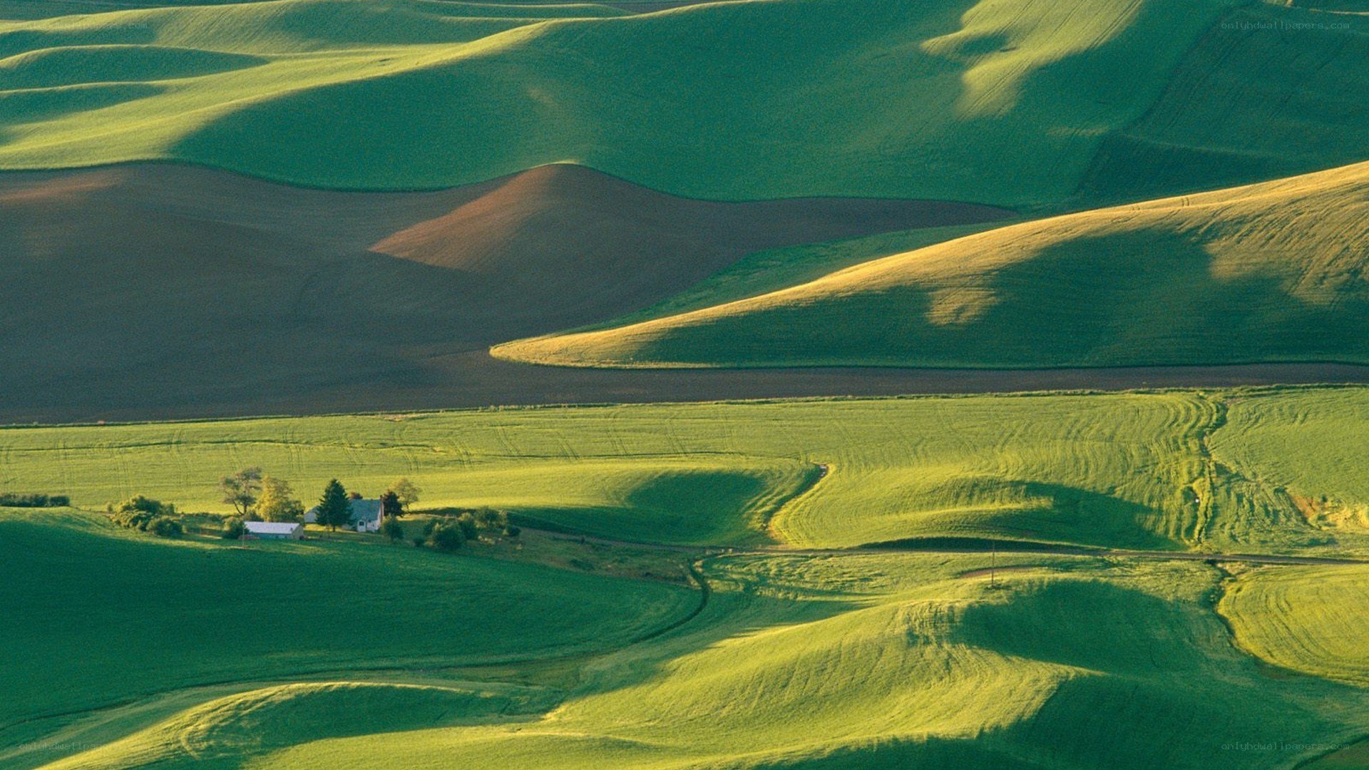 Rolling green hills landscape