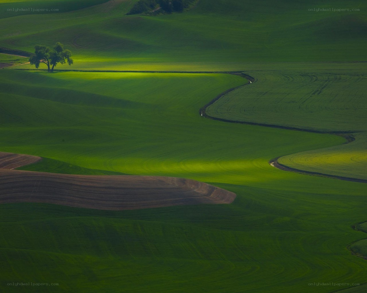 Rolling green hills landscape