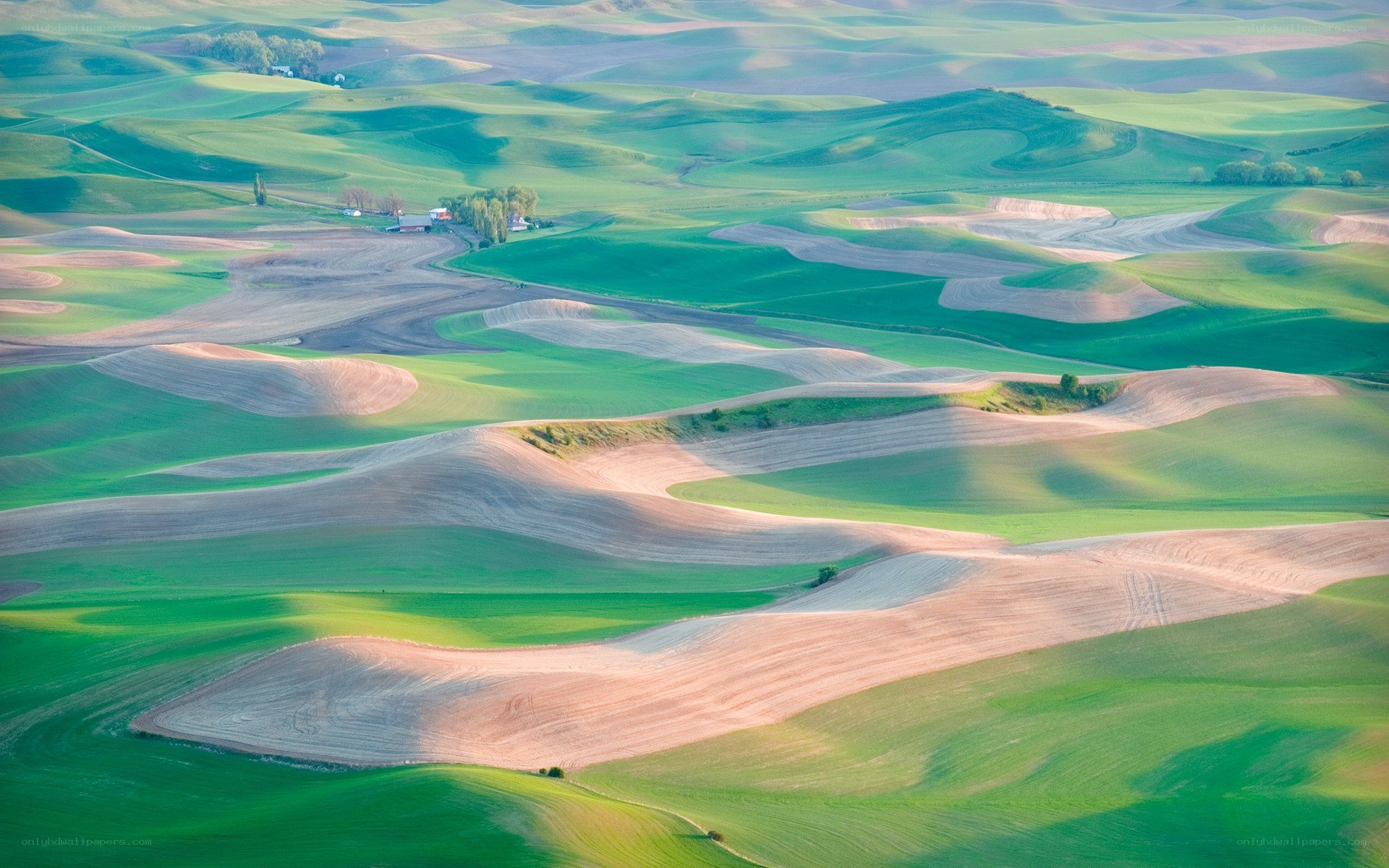 Rolling green hills landscape