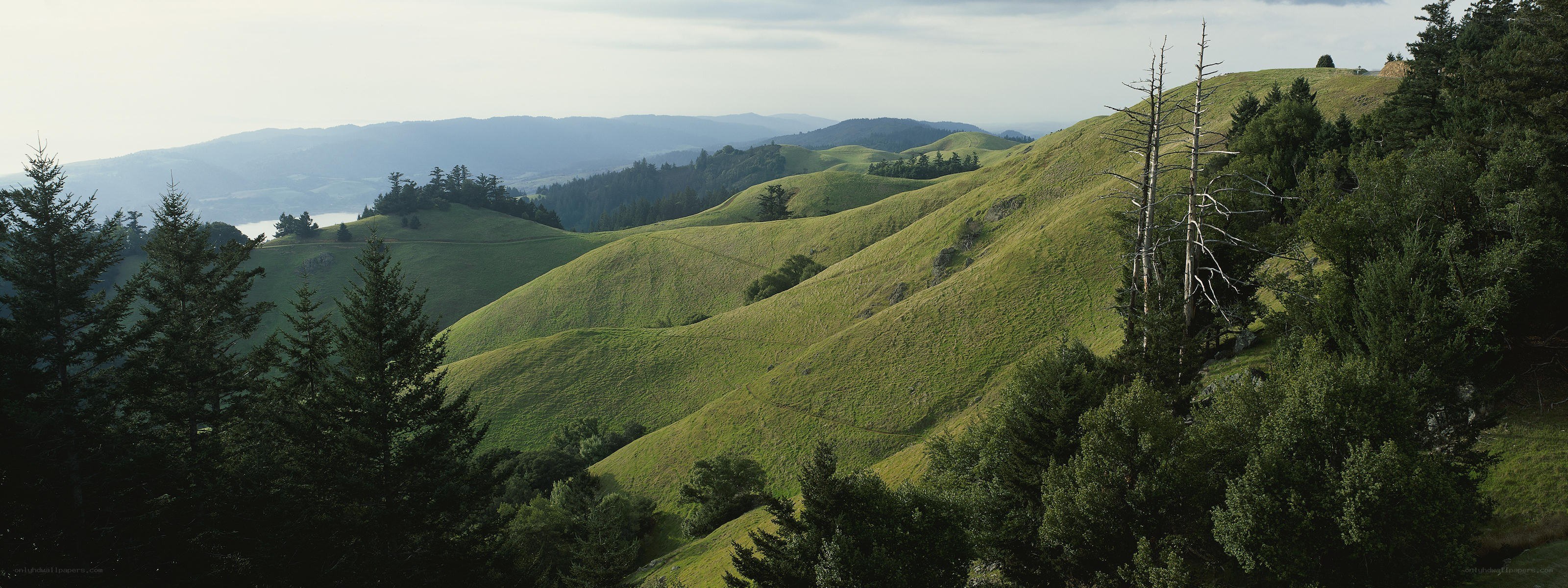 rolling green hills landscape