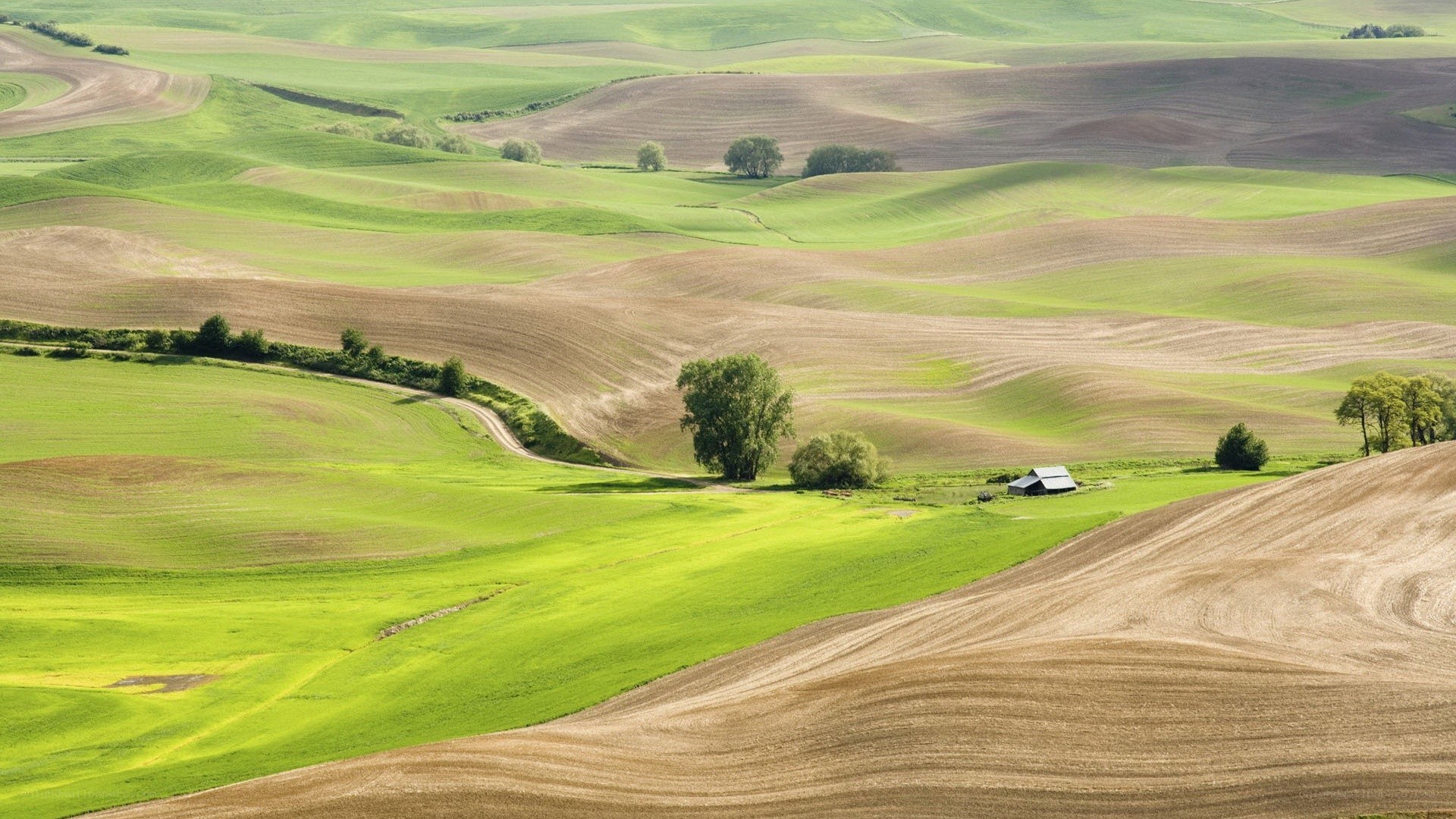 Rolling green hills landscape