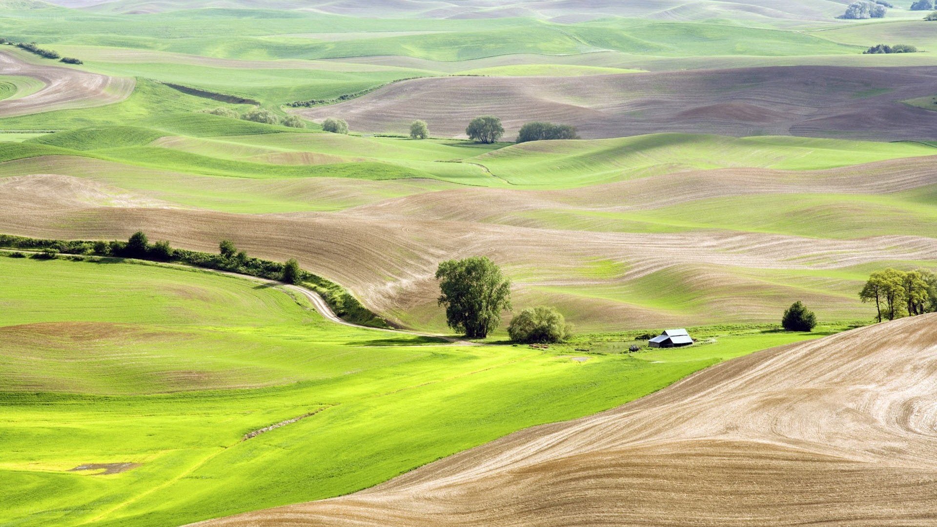Rolling green hills landscape