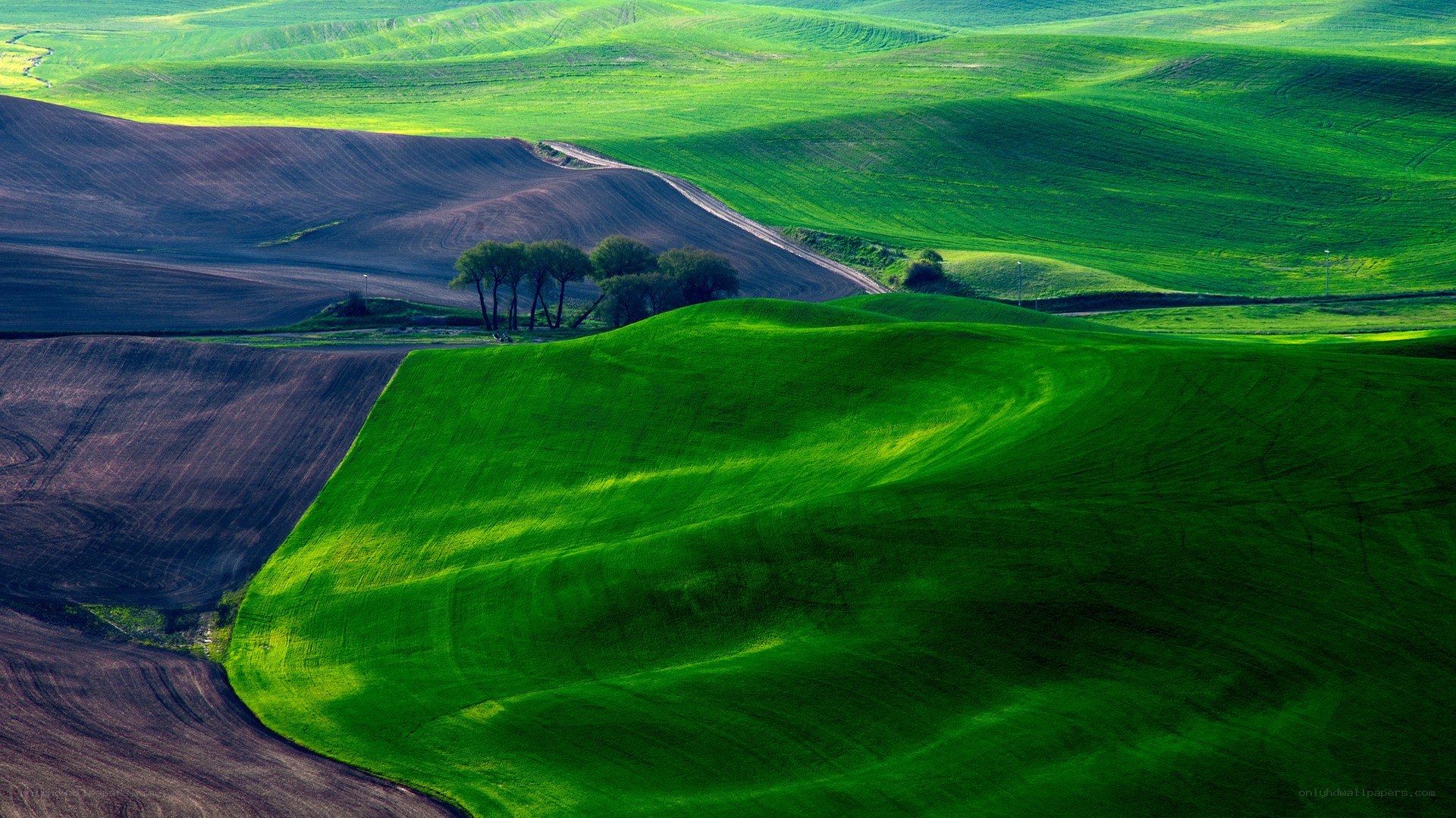 Rolling green hills landscape