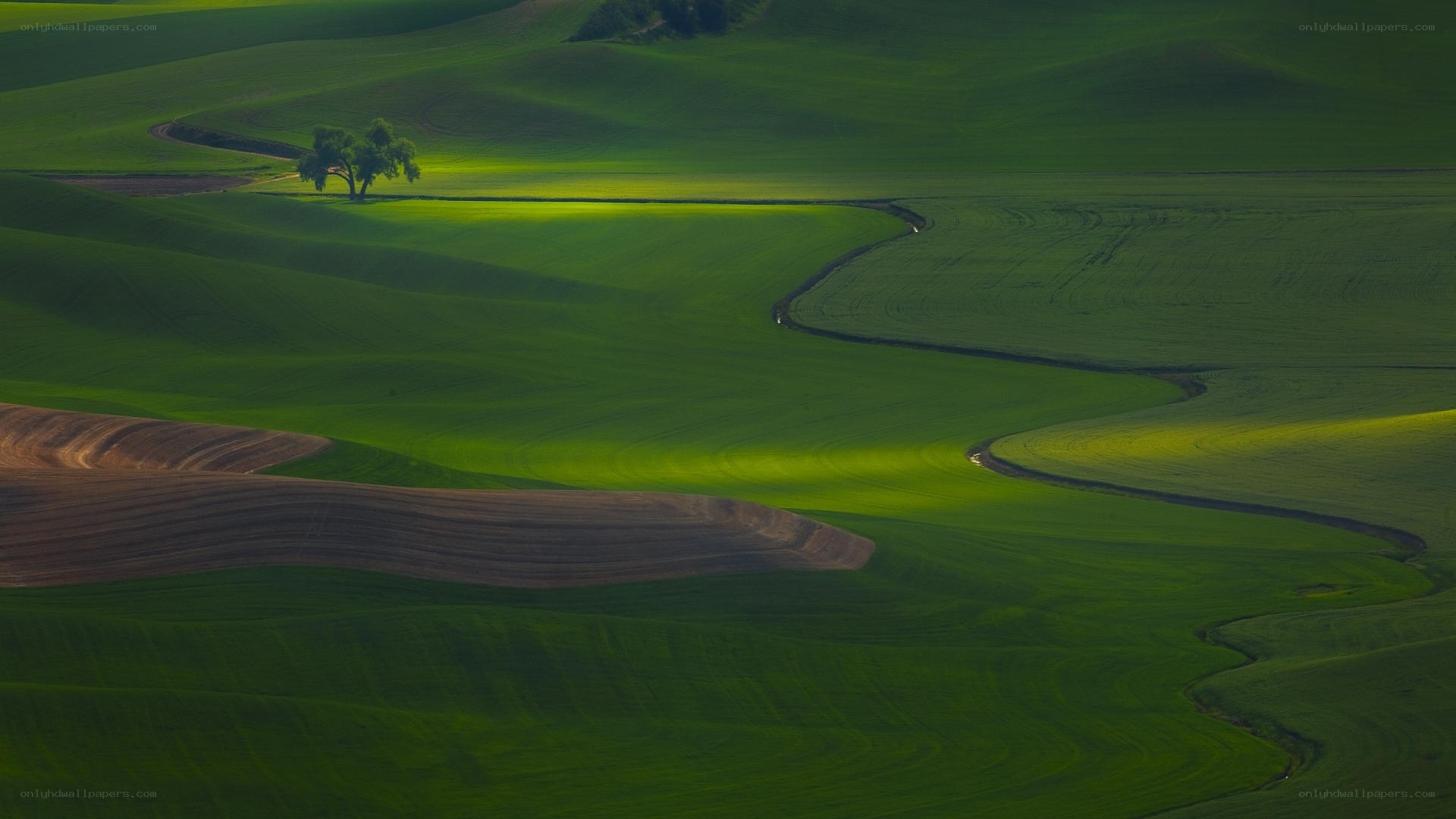 Rolling green hills landscape