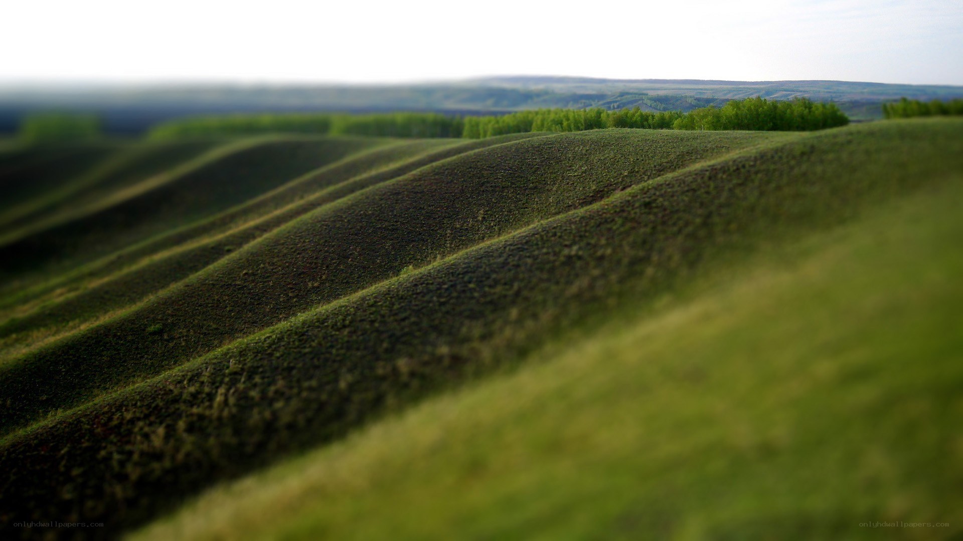 Rolling green hills landscape