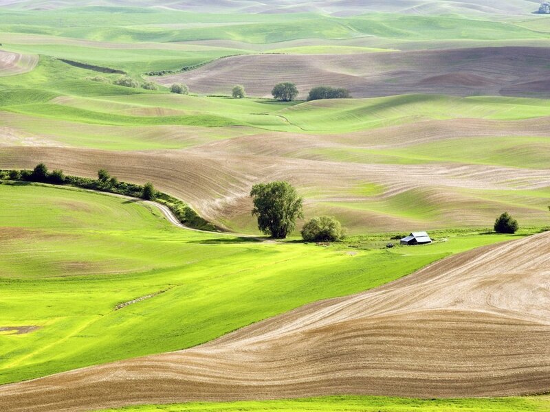 Rolling green hills landscape