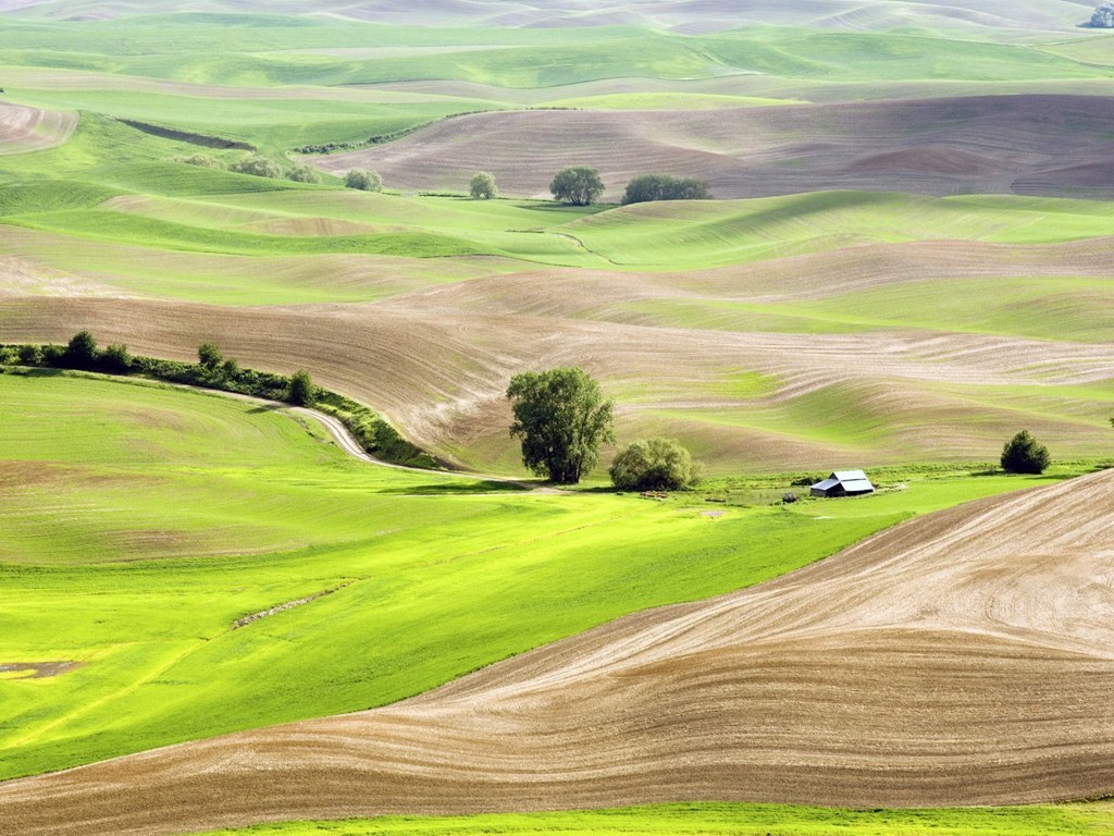 Rolling green hills landscape