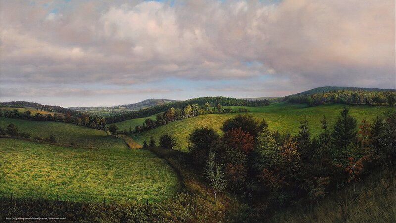 Rolling Green Hills Landscape