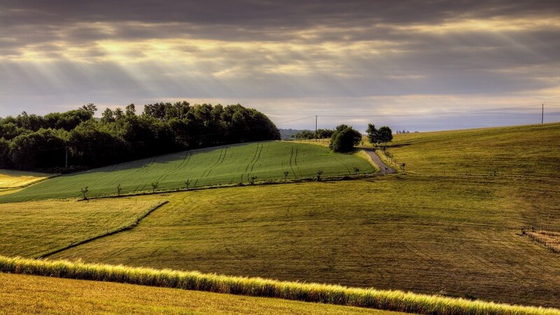 Rolling Green Hills Landscape — Dramatic, Sunrise