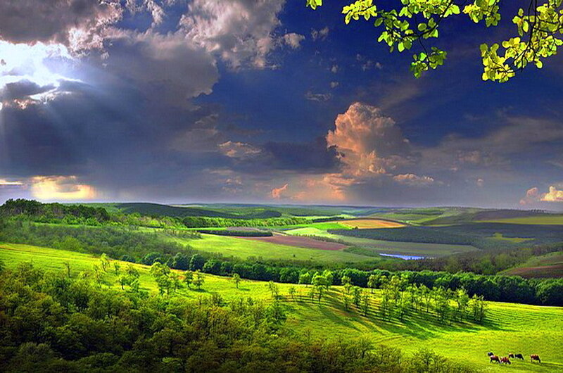 Rolling Green Hills Landscape — Dramatic