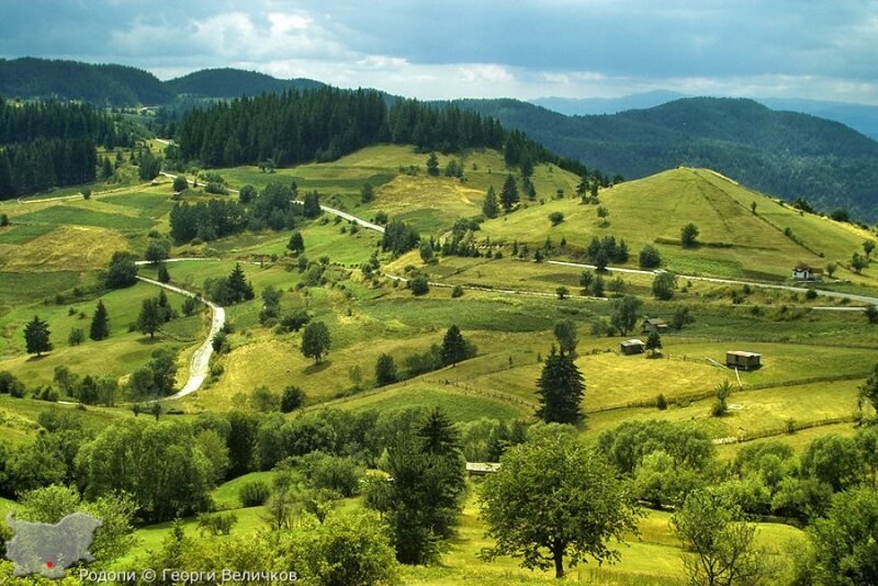 Rolling Green Hills Landscape — Serene