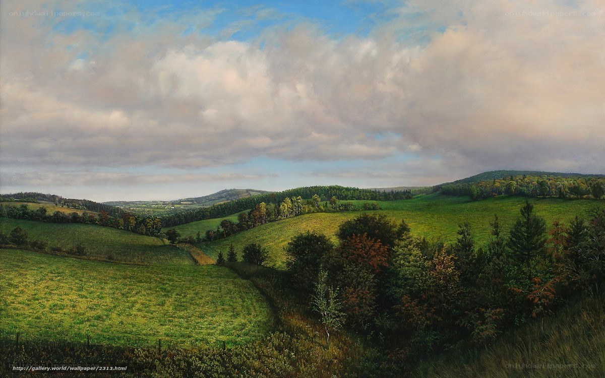 Rolling Green Hills Landscape