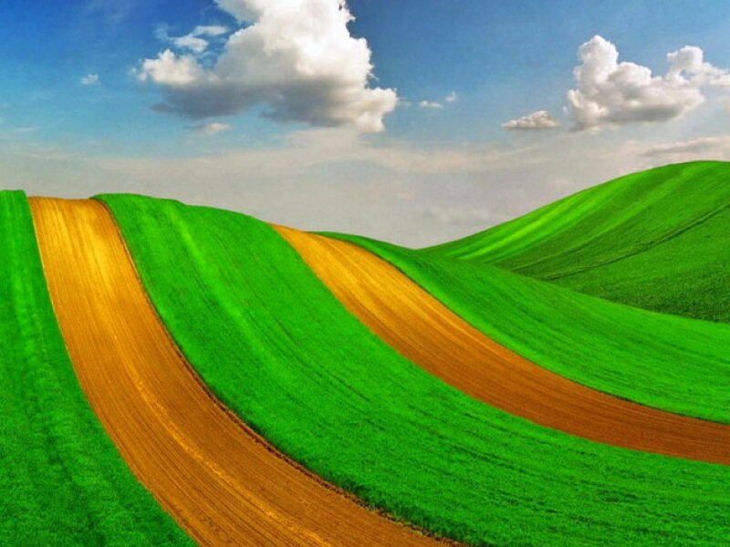 Rolling Green Hills — Serene, Afternoon, Digital Art