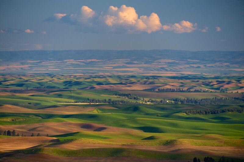 Rolling Green Hills — Serene, Afternoon, Photograph, Clouds, Fields