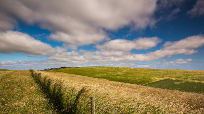 Rolling Green Hills — Serene, Afternoon, Photograph, Fence