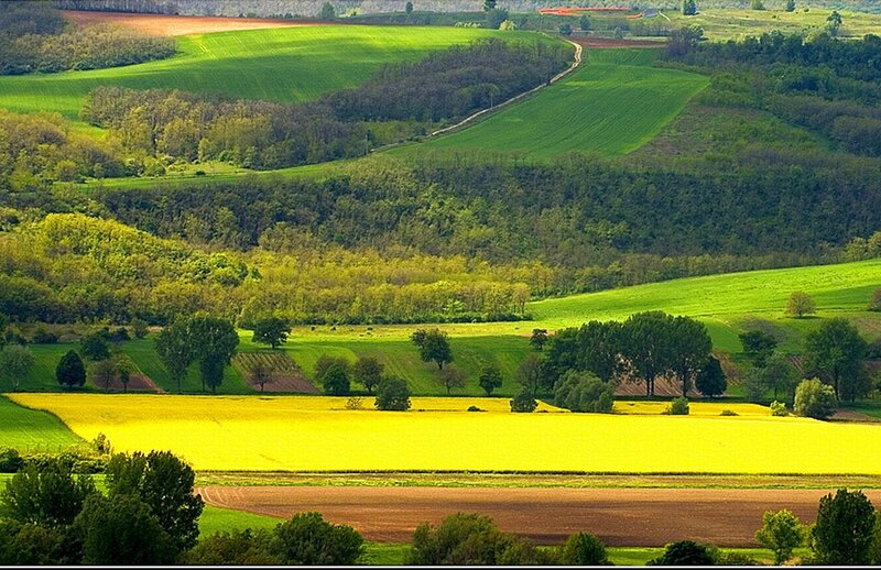Rolling Green Hills — Serene, Afternoon, Photograph, Fields