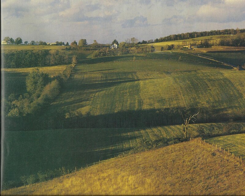 Rolling Green Hills — Serene, Afternoon, Photograph, Fields, Trees