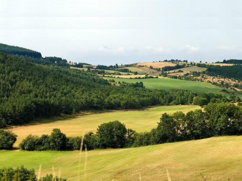 Rolling Green Hills — Serene, Afternoon, Photograph, Forests