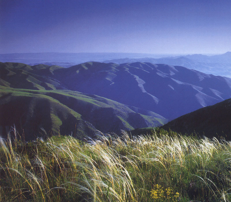 Rolling Green Hills — Serene, Afternoon, Photograph, Grass, Mountains