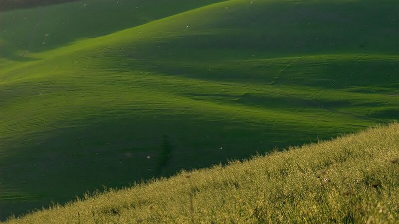Rolling Green Hills — Serene, Afternoon, Photograph, Grass