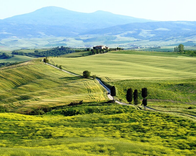 Rolling Green Hills — Serene, Afternoon, Photograph, Road, Trees, Mountain, Yellow