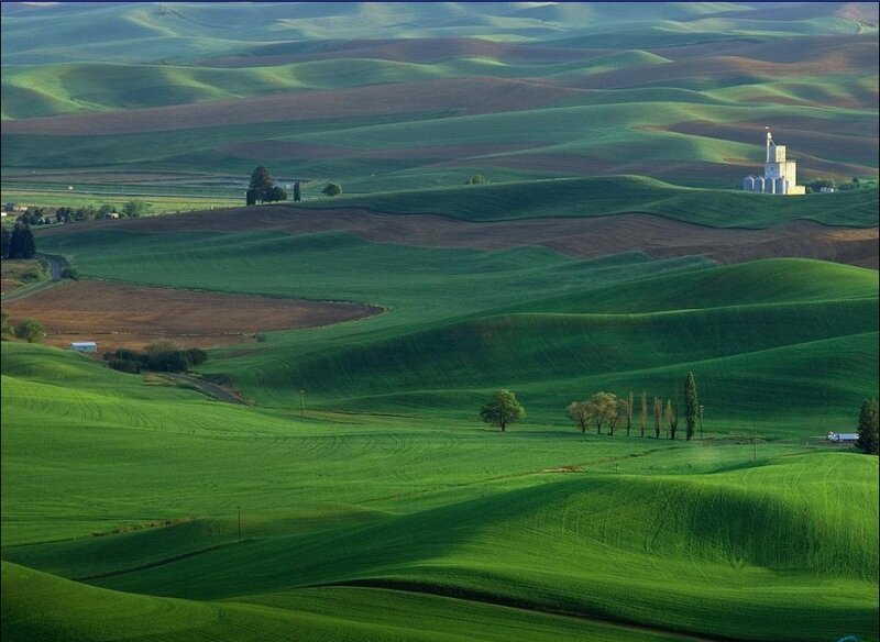 Rolling Green Hills — Serene, Afternoon, Photograph