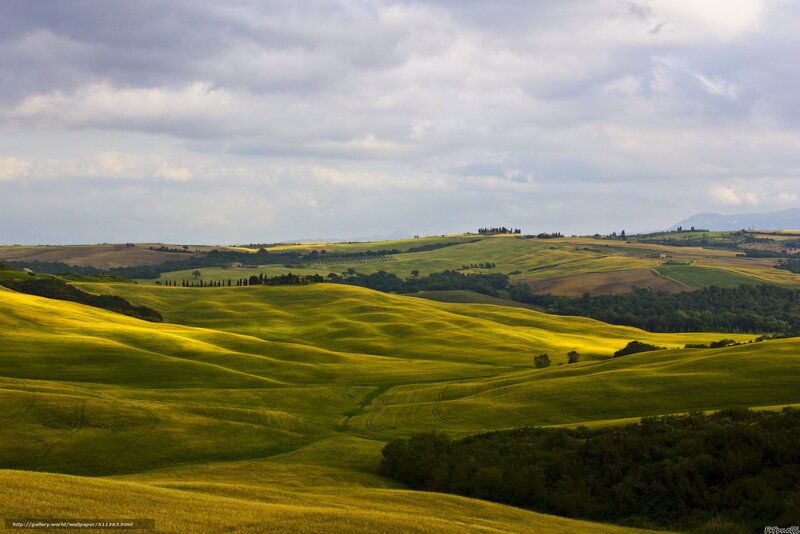 Rolling Green Hills — Serene, Afternoon, Photograph, Trees, Clouds