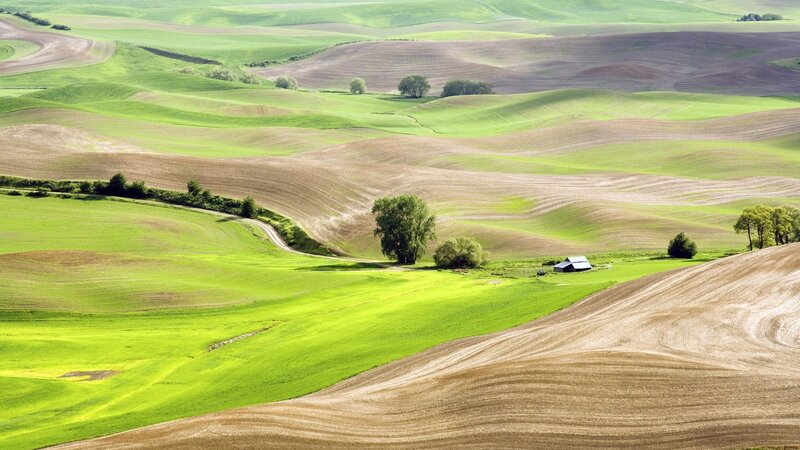 Rolling Green Hills — Serene, Afternoon, Photograph, Trees, Farmhouse