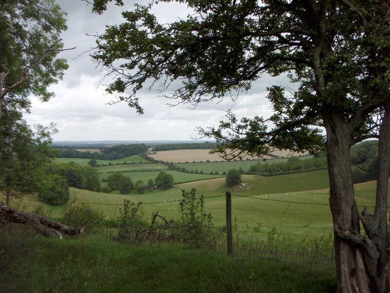 Rolling Green Hills — Serene, Afternoon, Photograph, Trees, Fence