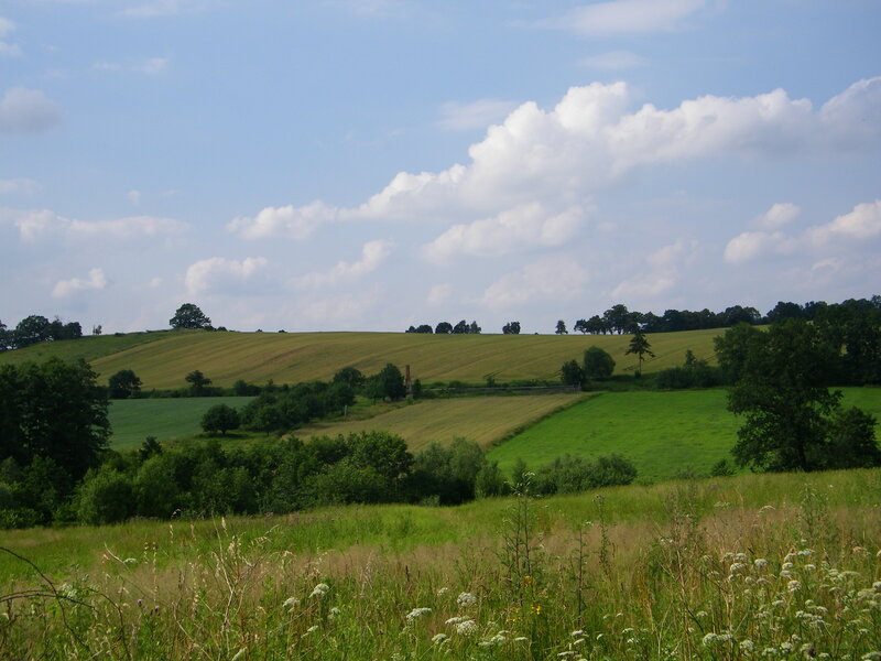 Rolling Green Hills — Serene, Afternoon, Photograph, Trees, Fields