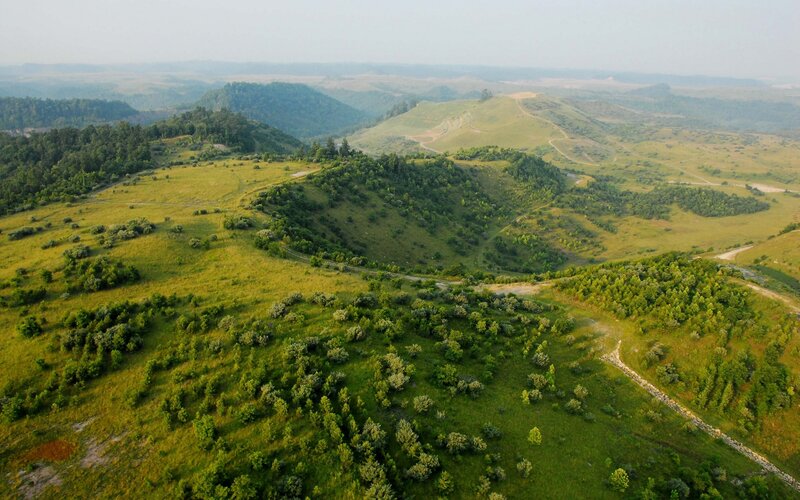Rolling Green Hills — Serene, Afternoon, Photograph, Trees, Paths