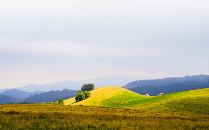 Rolling Green Hills — Serene, Afternoon