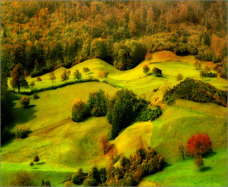Rolling Green Hills — Serene, Autumn
