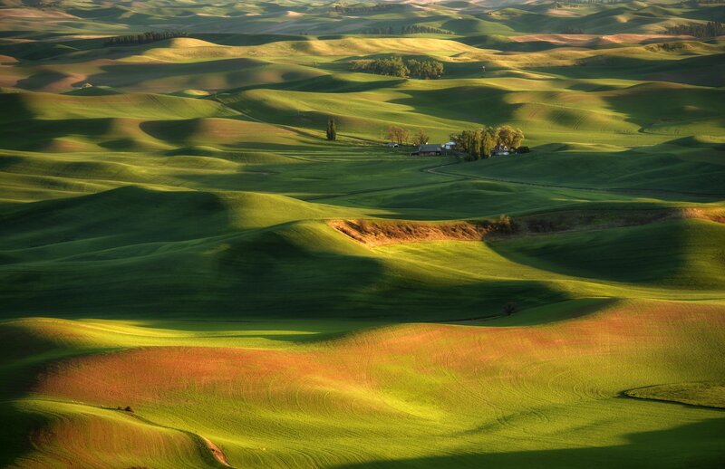 Rolling Green Hills — Serene, Morning, Photograph, Farmhouse