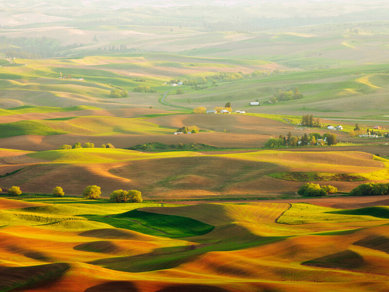 Rolling Green Hills — Serene, Morning, Photograph, Fields