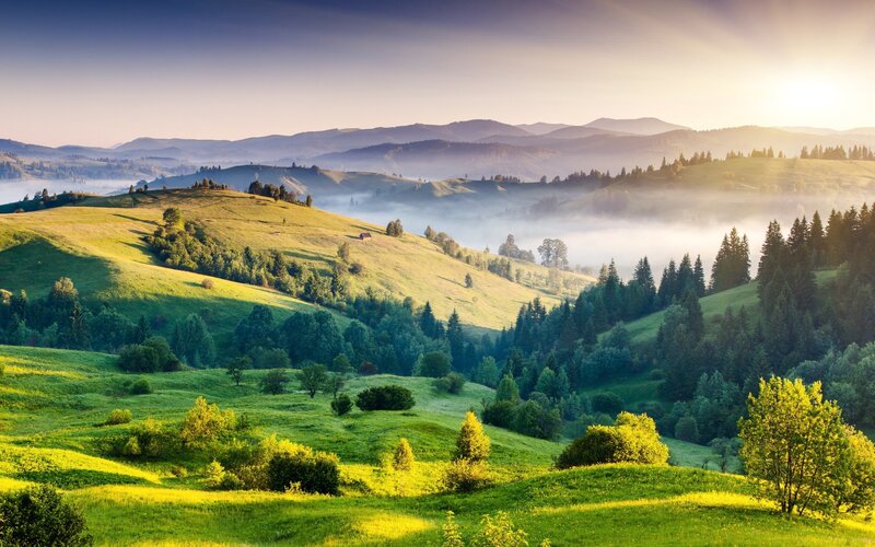 Rolling Green Hills — Serene, Morning, Photograph, Fog, Trees